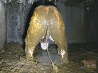 [ Shit Fetish XXX Tube ] Digging in swimming in pic shit